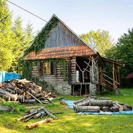 Дом отдыха хатина біля потока Лумшоры