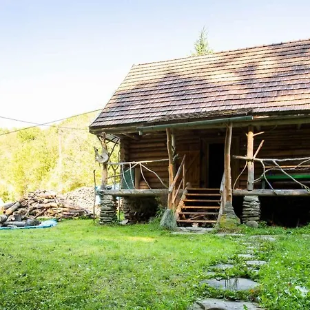 Holiday home хатина біля потока Lumshory