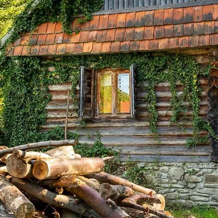 Дом отдыха хатина біля потока *