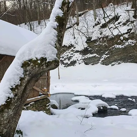 Дом отдыха хатина біля потока Лумшоры