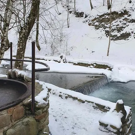 Дом отдыха хатина біля потока Лумшоры
