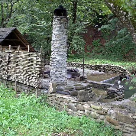 Holiday home хатина біля потока Lumshory
