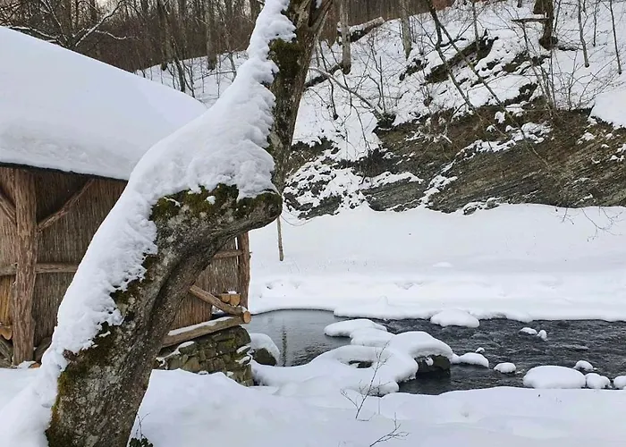 Holiday home хатина біля потока Lumshory