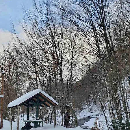 хатина біля потока * Rónafüred