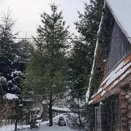 хатина біля потока