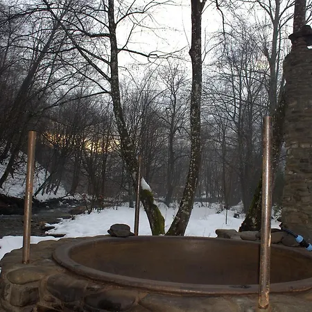 хатина біля потока * Rónafüred